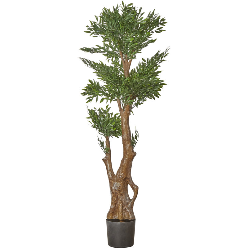 Faux Ruscus Tree Floor Plant in Pot & Reviews Birch Lane
